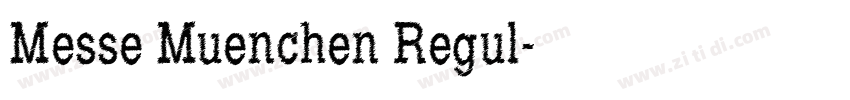 Messe Muenchen Regul字体转换